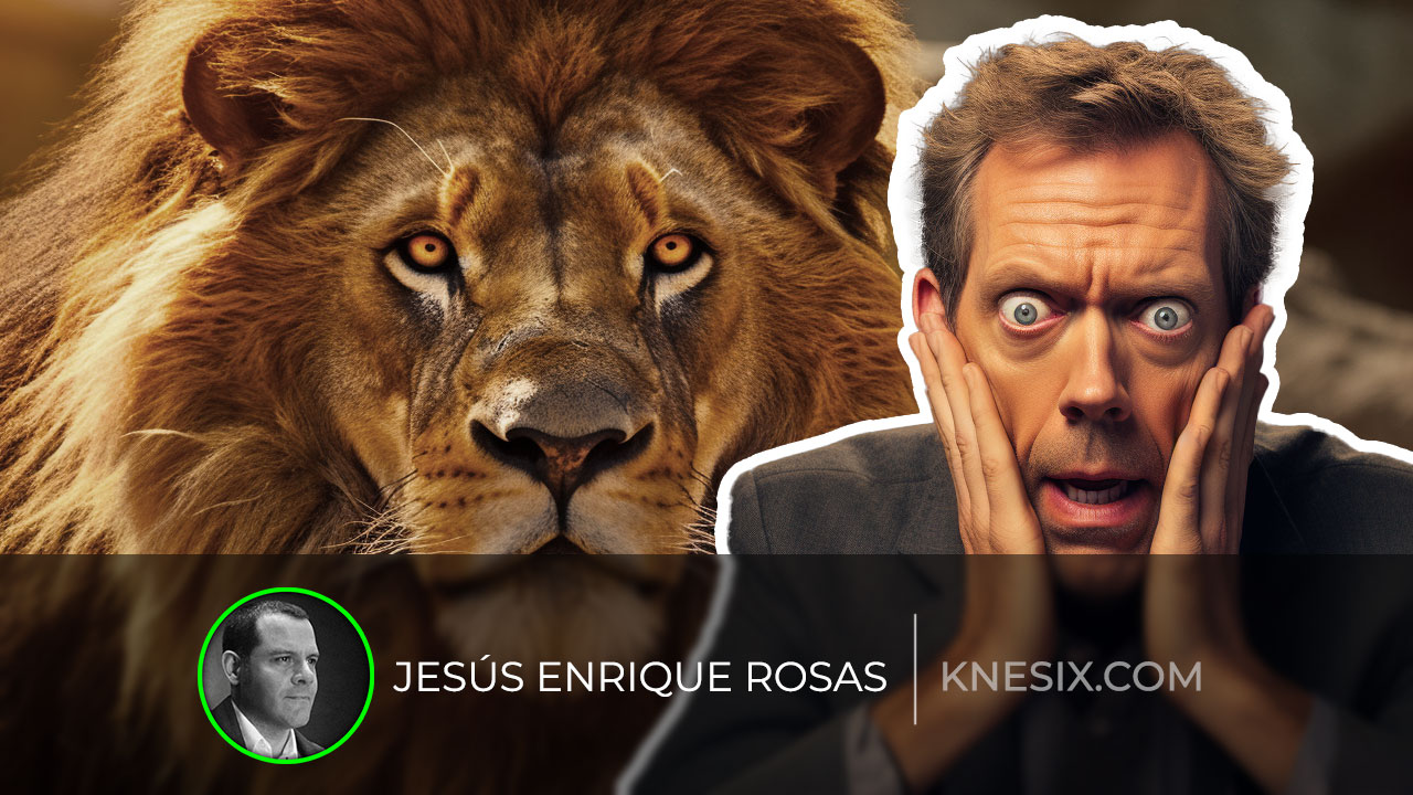 Hugh Laurie Lion